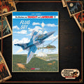 Die Abenteuer von Tanguy und Laverdure 21 SC – Flug 501