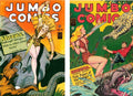 Jumbo Comics: Sheena 91/92 – Cover