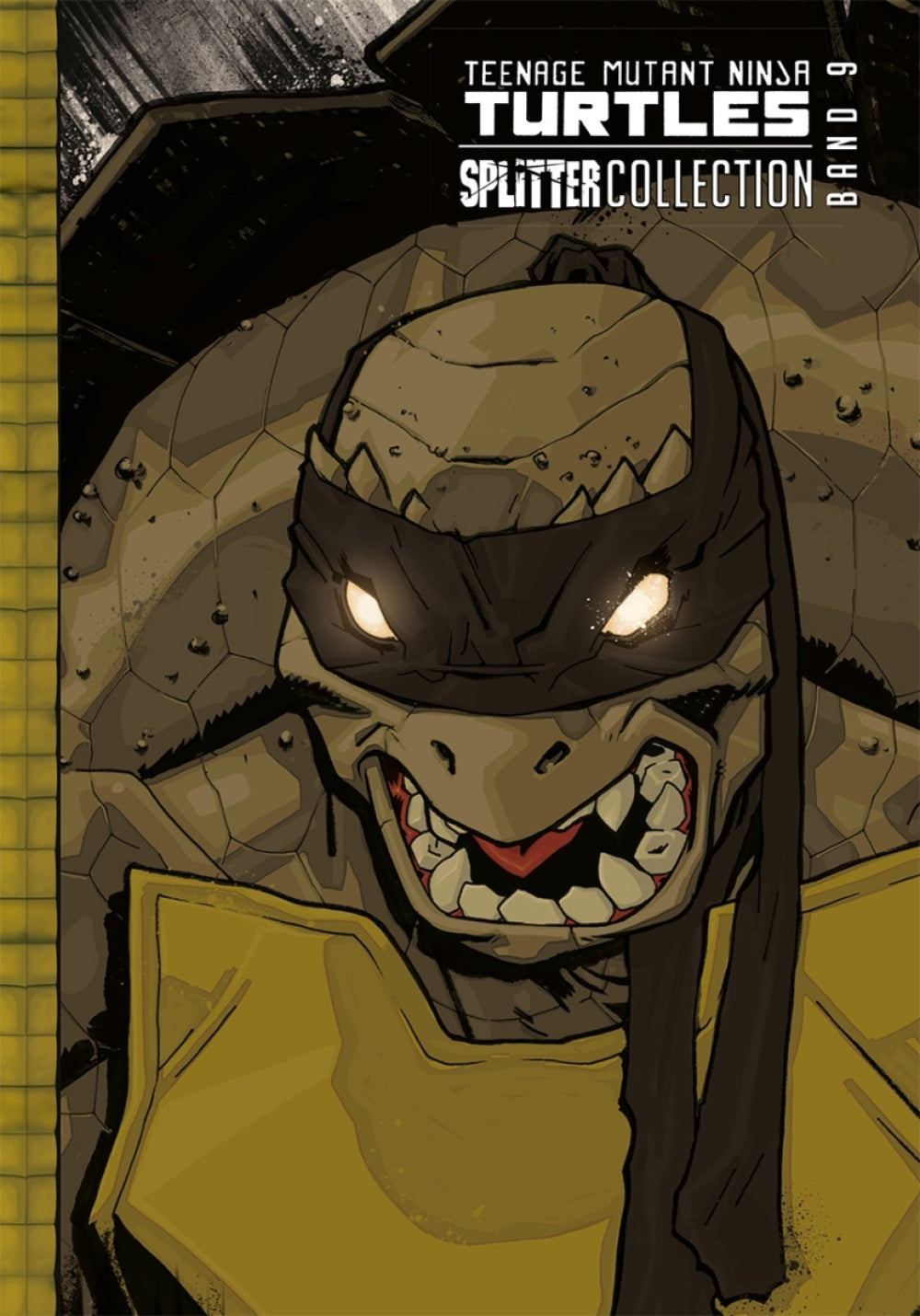 Teenage Mutant Ninja Turtles Splitter Collection 09 – Cover